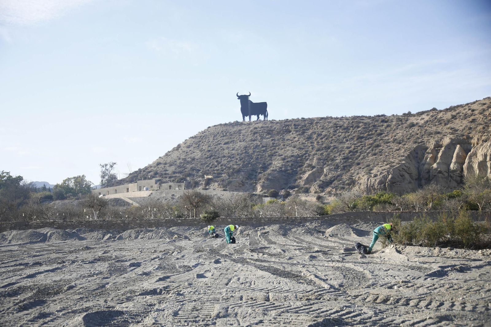Las imágenes de la visita las obras de restauración hidrogeomorfológica y de naturalización del cauce del río Andarax, en Rioja
