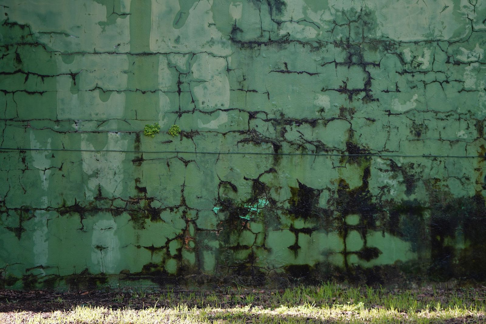Una mañana en el paseo de la cornisa en Algeciras