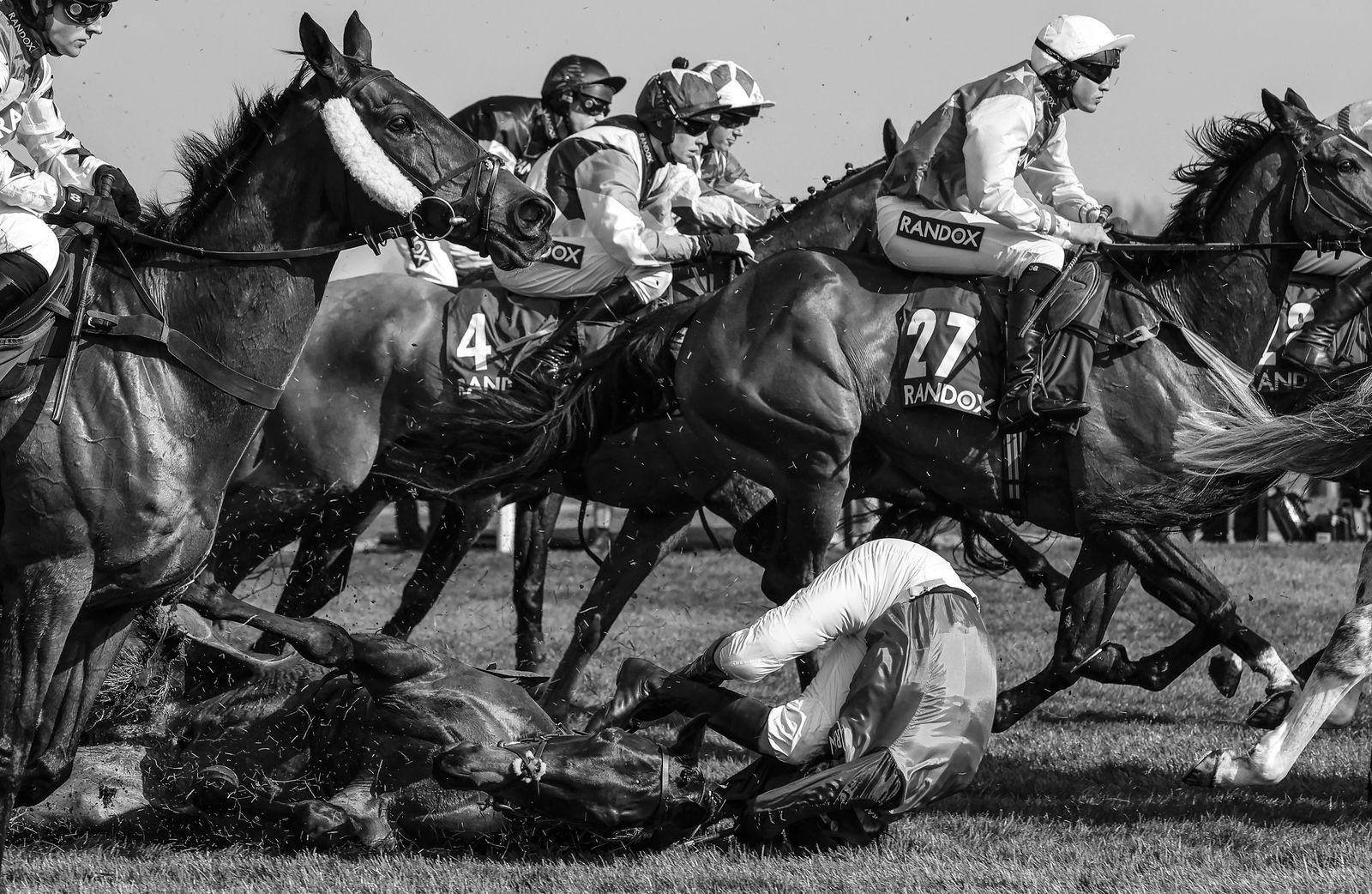 Deportes hípicos | Falling