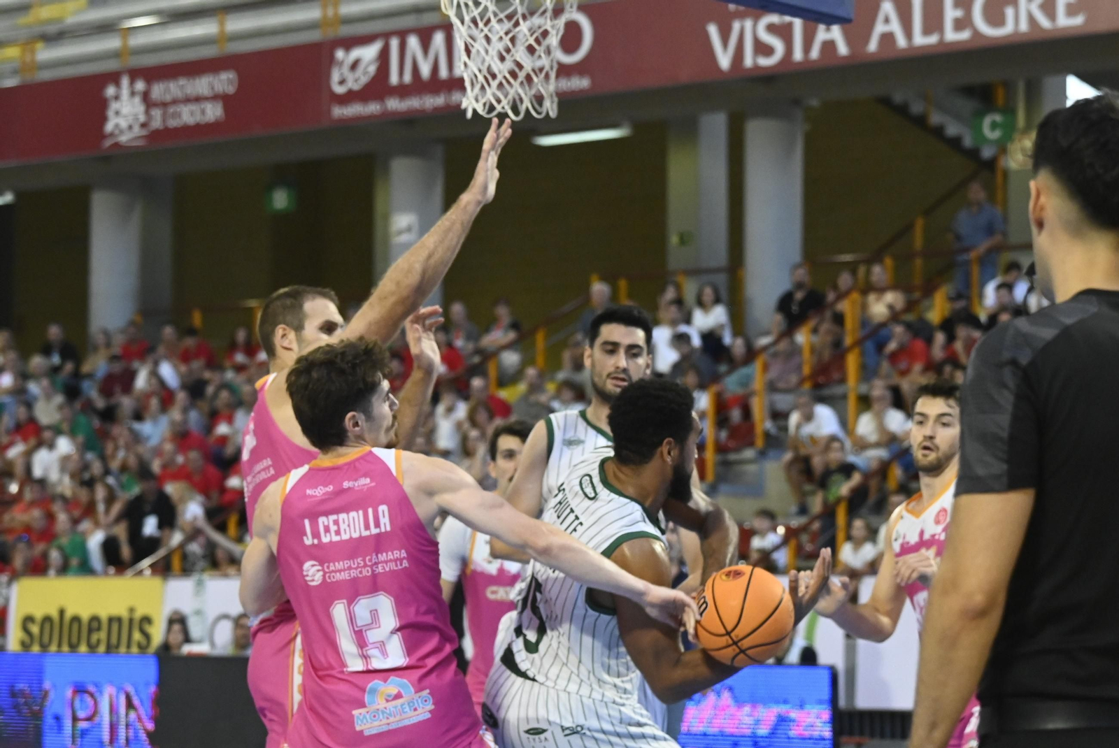 Las mejores fotos del Coto Córdoba - Caja 87 de la Copa de España en Vista Alegre