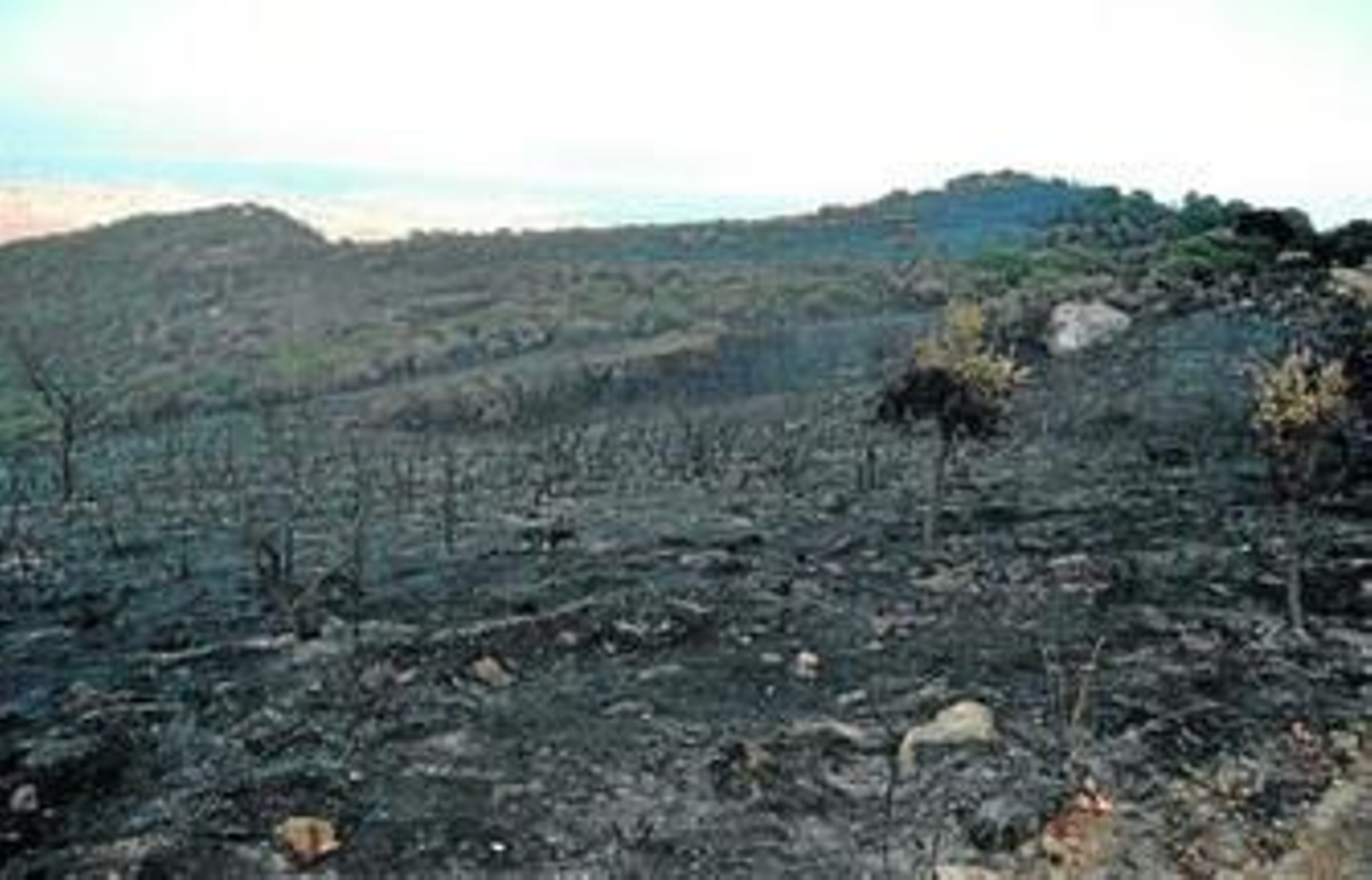 La zona quemada el pasado fin de semana, una imagen que no se había podido observar por la imposibilidad de acceder al paraje.