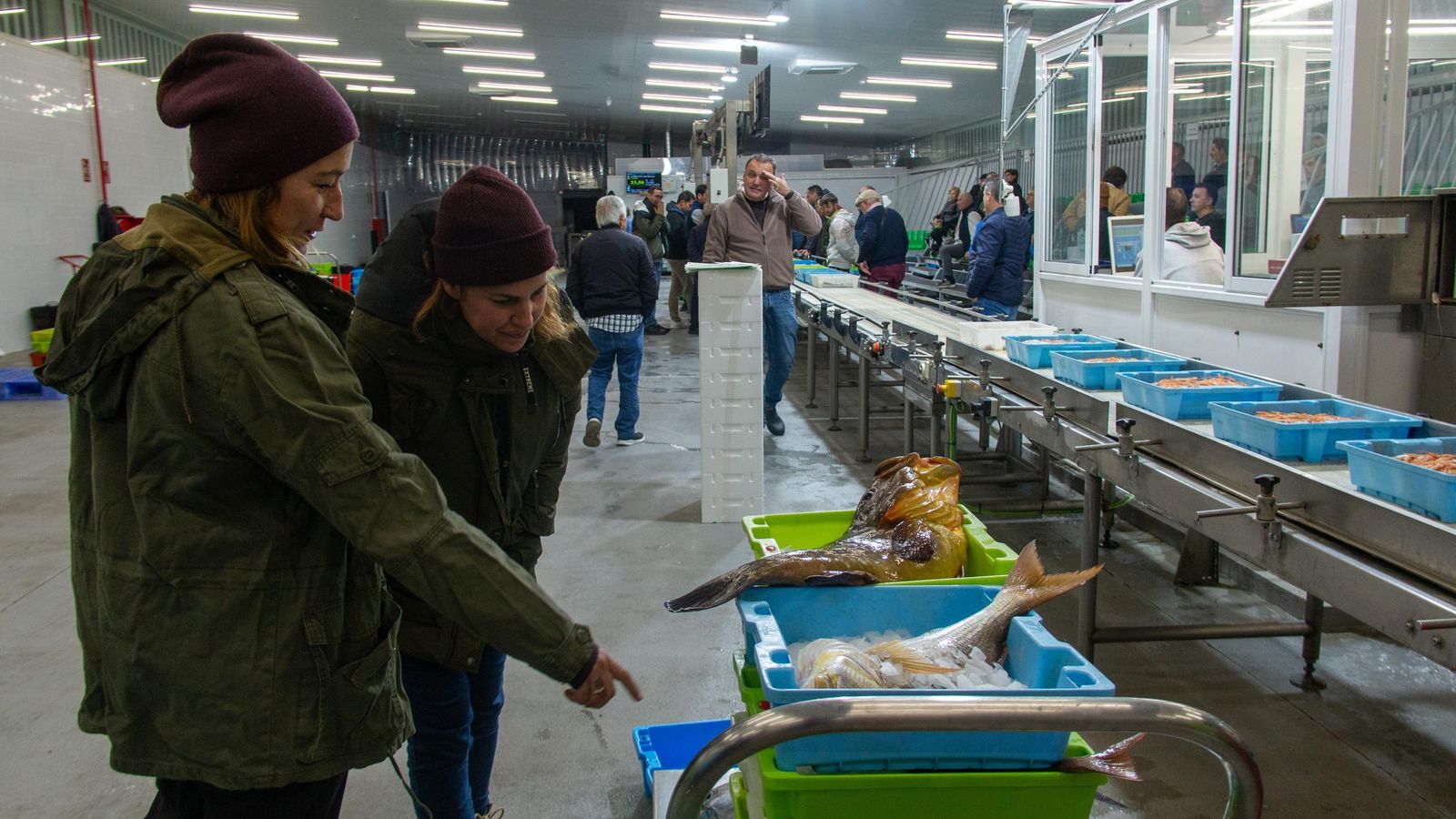 Dos mujeres ven parte de la pesca capturada en el dia en la lonja de Motril