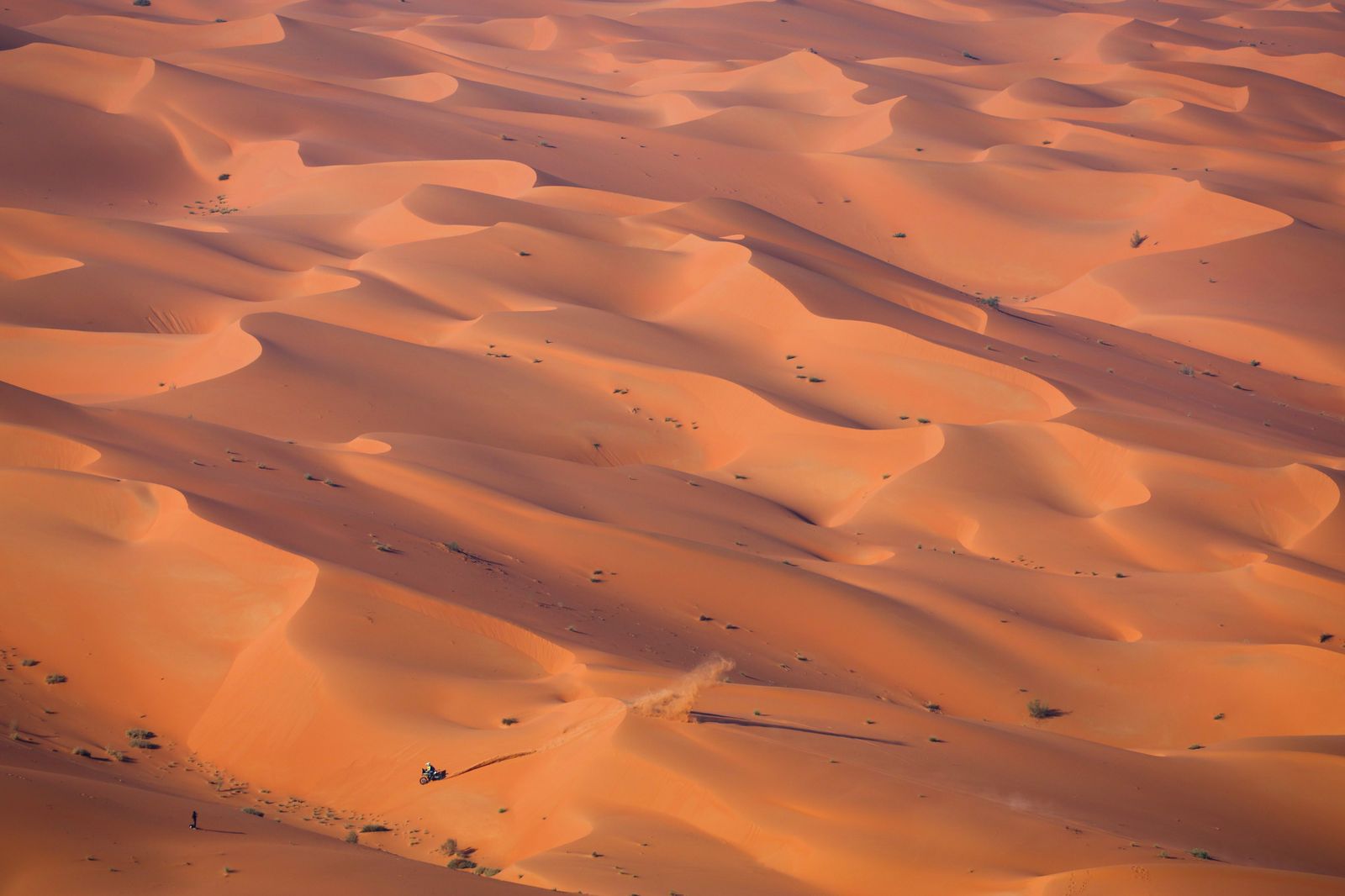 Las mejores fotos del Dakar por las dunas