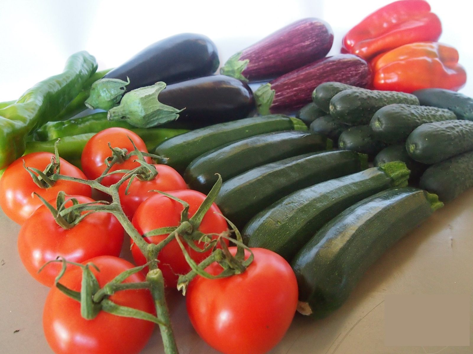 Platos sencillos para veganos sin tiempo