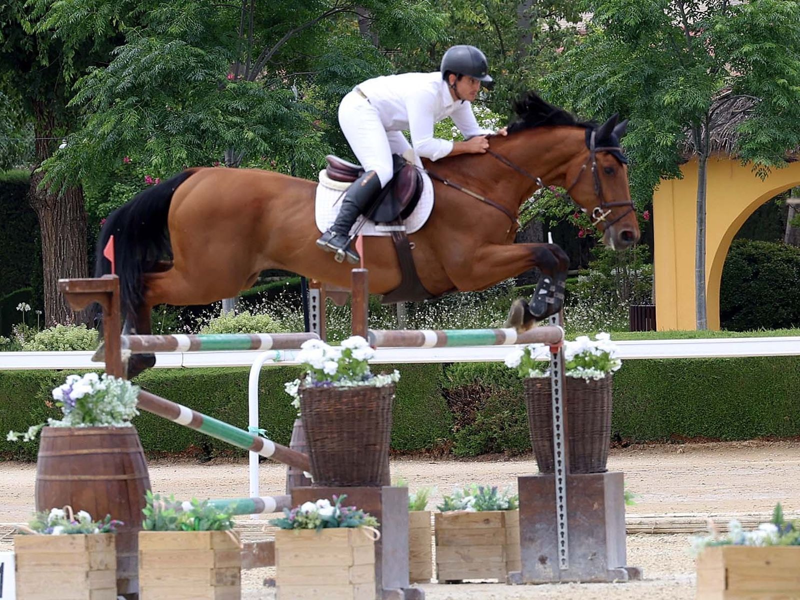 Ricardo del Campo, en pleno concurso.
