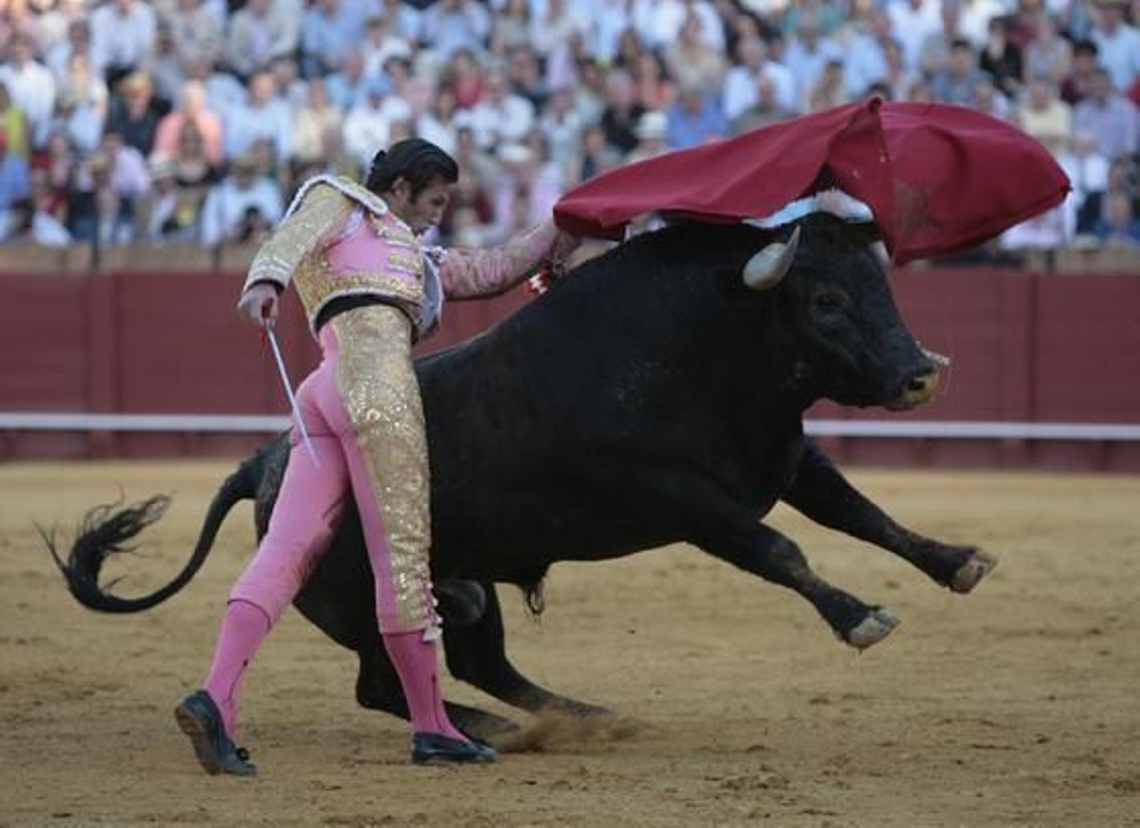 Foto: Juan Carlos Muñoz