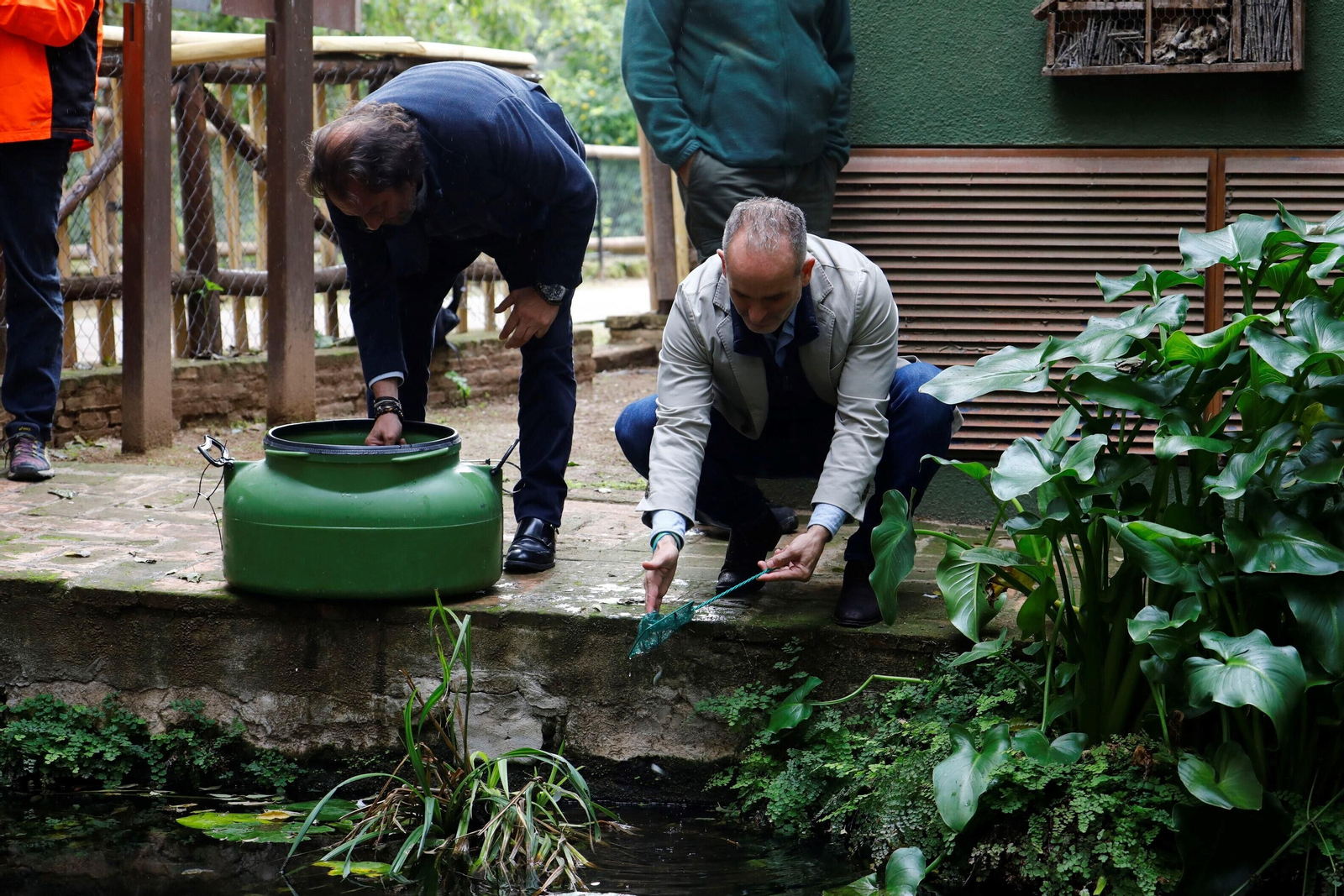 La suelta de salinetes en el zoo de Córdoba, en imágenes La suelta de salinetes en el zoo de Córdoba, en imágenes