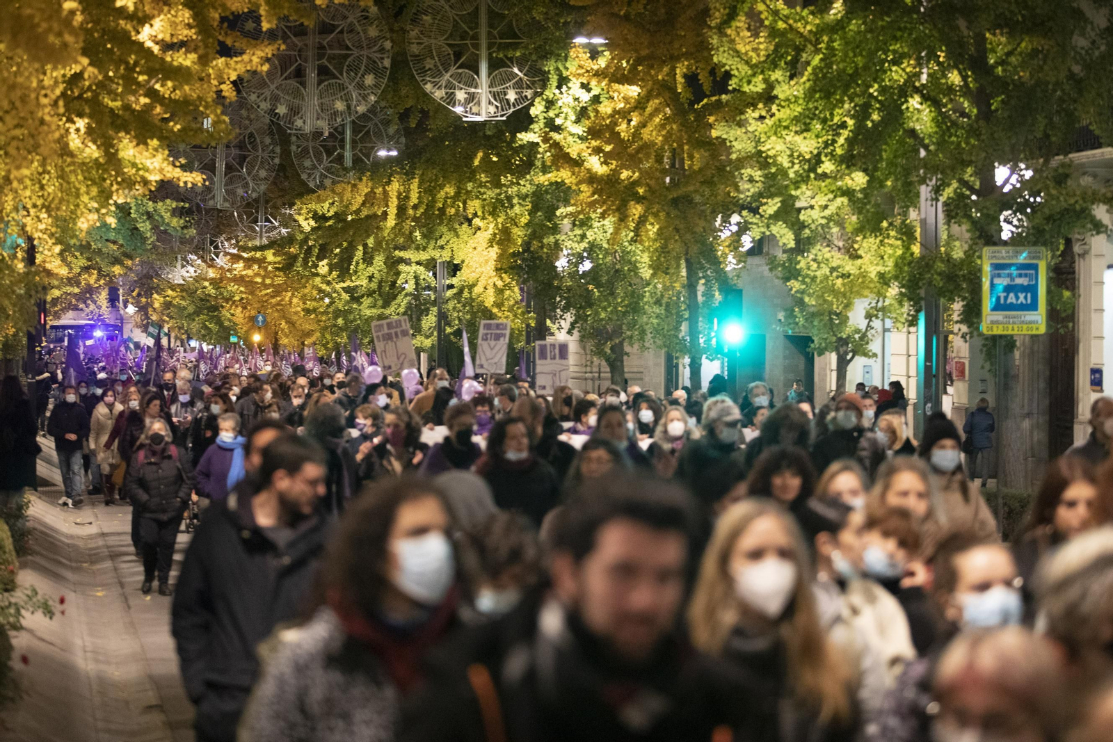 La manifestación del 25-N en Granada en imágenes