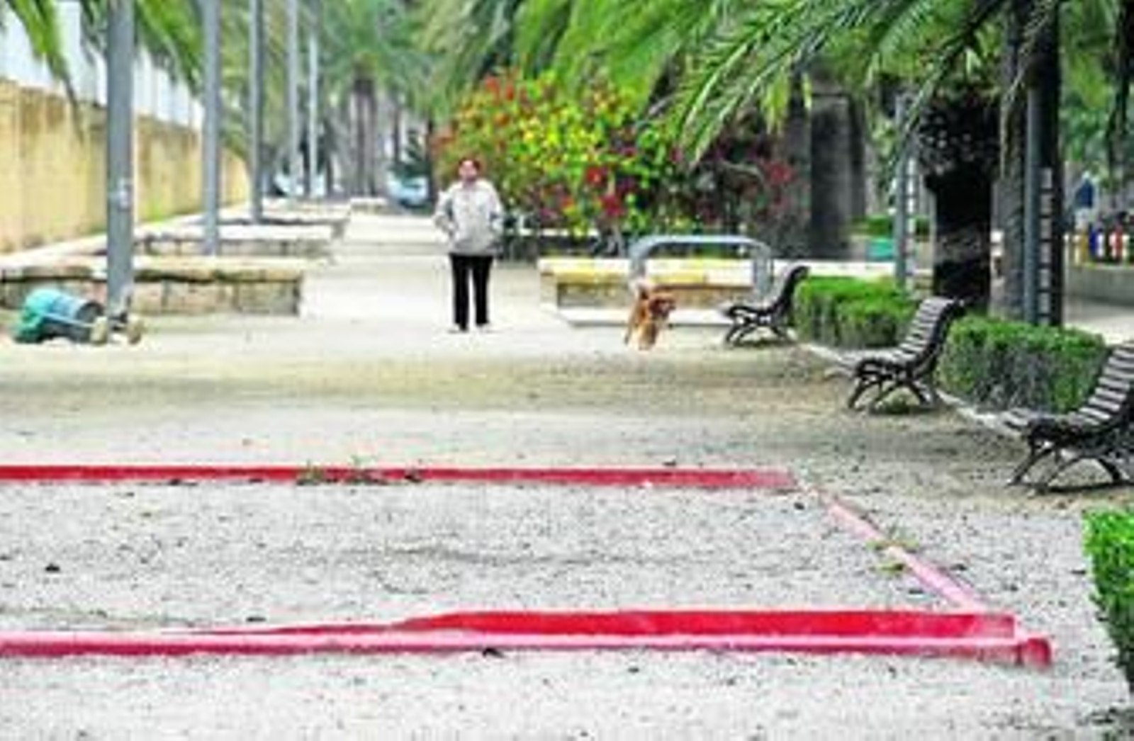 El Ayuntamiento pondrá en marcha una campaña de concienciación.