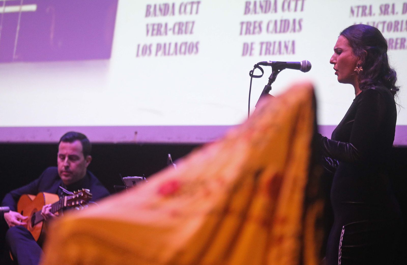 Fotos del espectáculo  'Esencia de Pasión' en La Línea