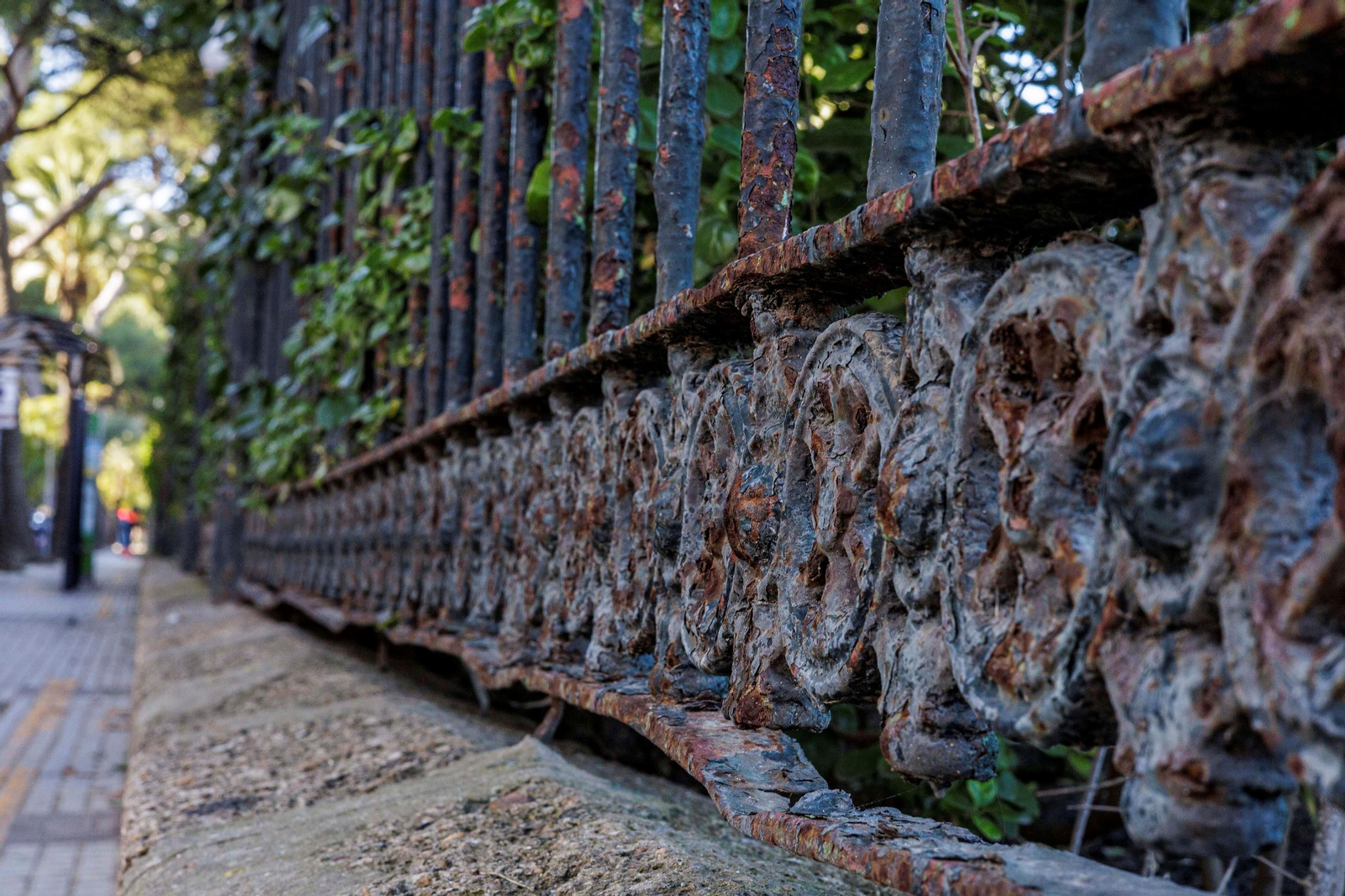 Imágenes del mal estado del Parque Genovés de Cádiz
