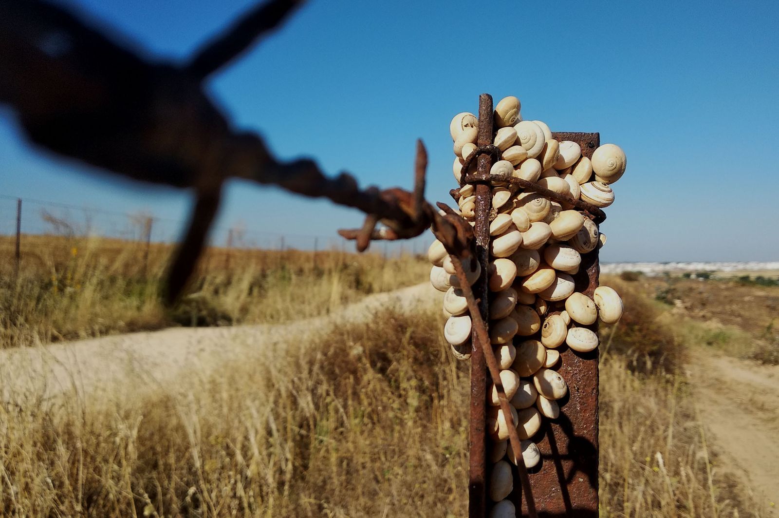 Imágenes del lunes 6 de mayo en Huelva