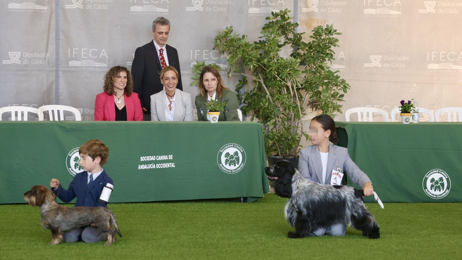 Uno de los rings habilitados en Ifeca.