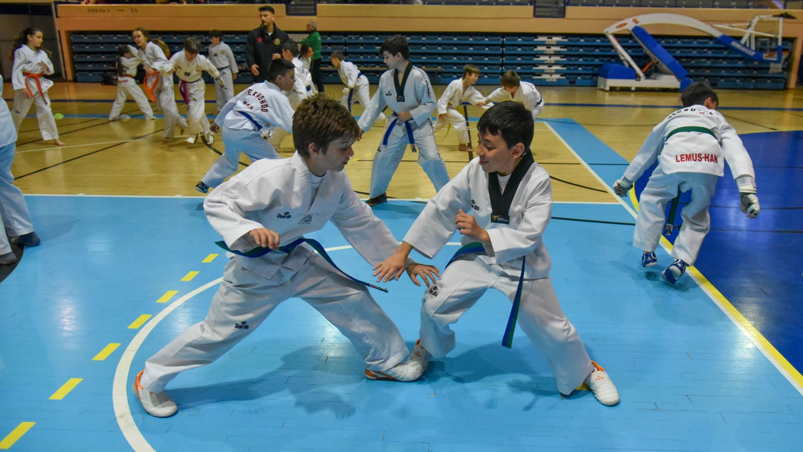 Las fotos de la concentración de Taekwondo Olimpico en Algeciras