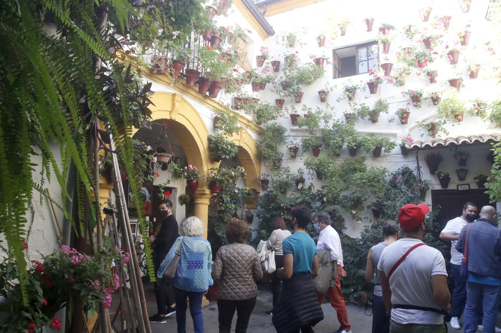 Los Patios en otoño, en fotografías