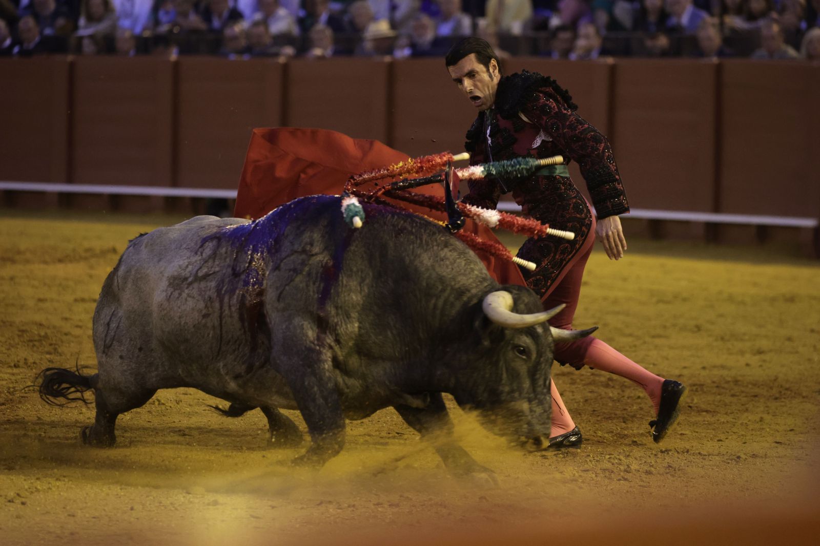 Las imágenes de la corrida de los Victorinos en la Maestranza de Sevilla