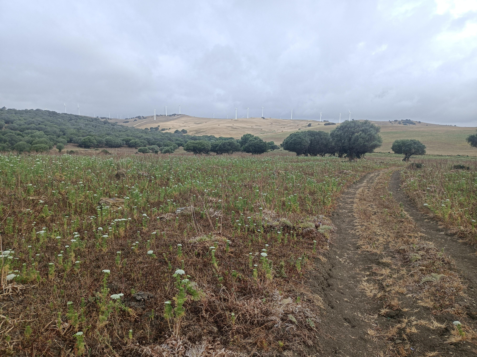 El perfil se relaja: nuestro objetivo son los geradores.