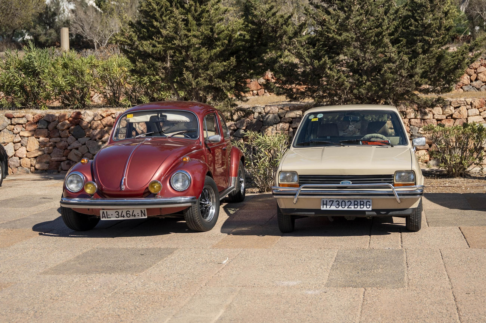El encuentro Vecinal en el Palacio de Exposiciones y Congresos ‘Cabo de Gata – Ciudad de Almería’ de El Toyo, en imágenes