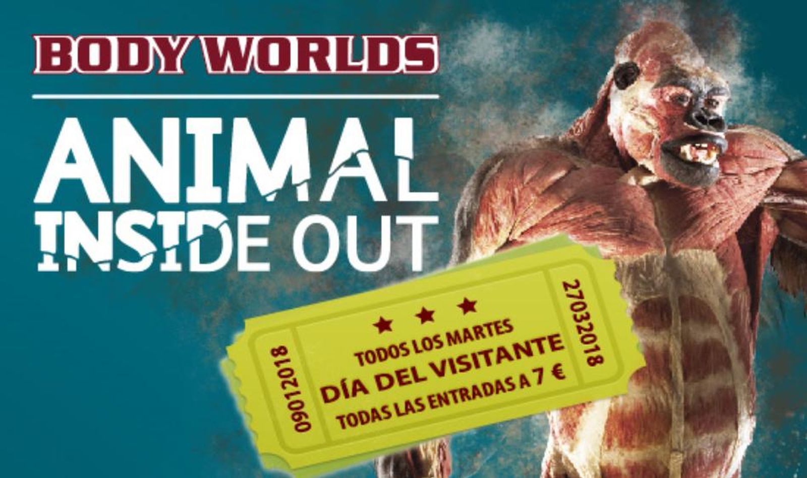 Celebración del visitante en Animal Inside Out