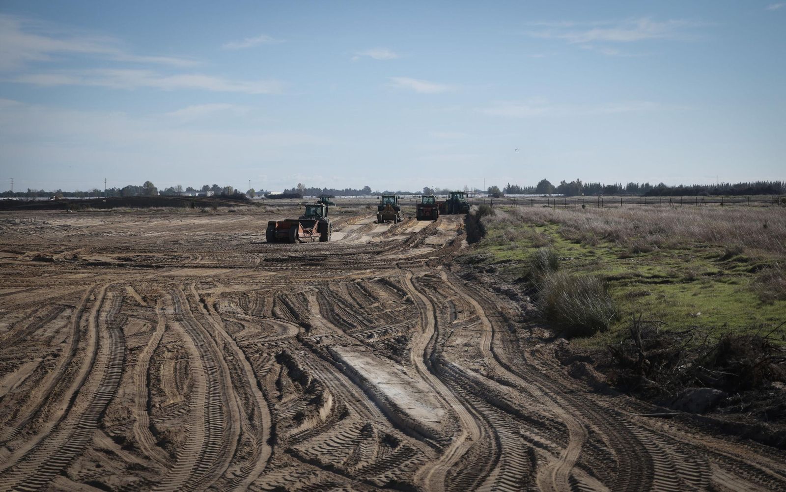 La renaturalización de Los Mimbrales: imágenes de la transformación del espacio natural