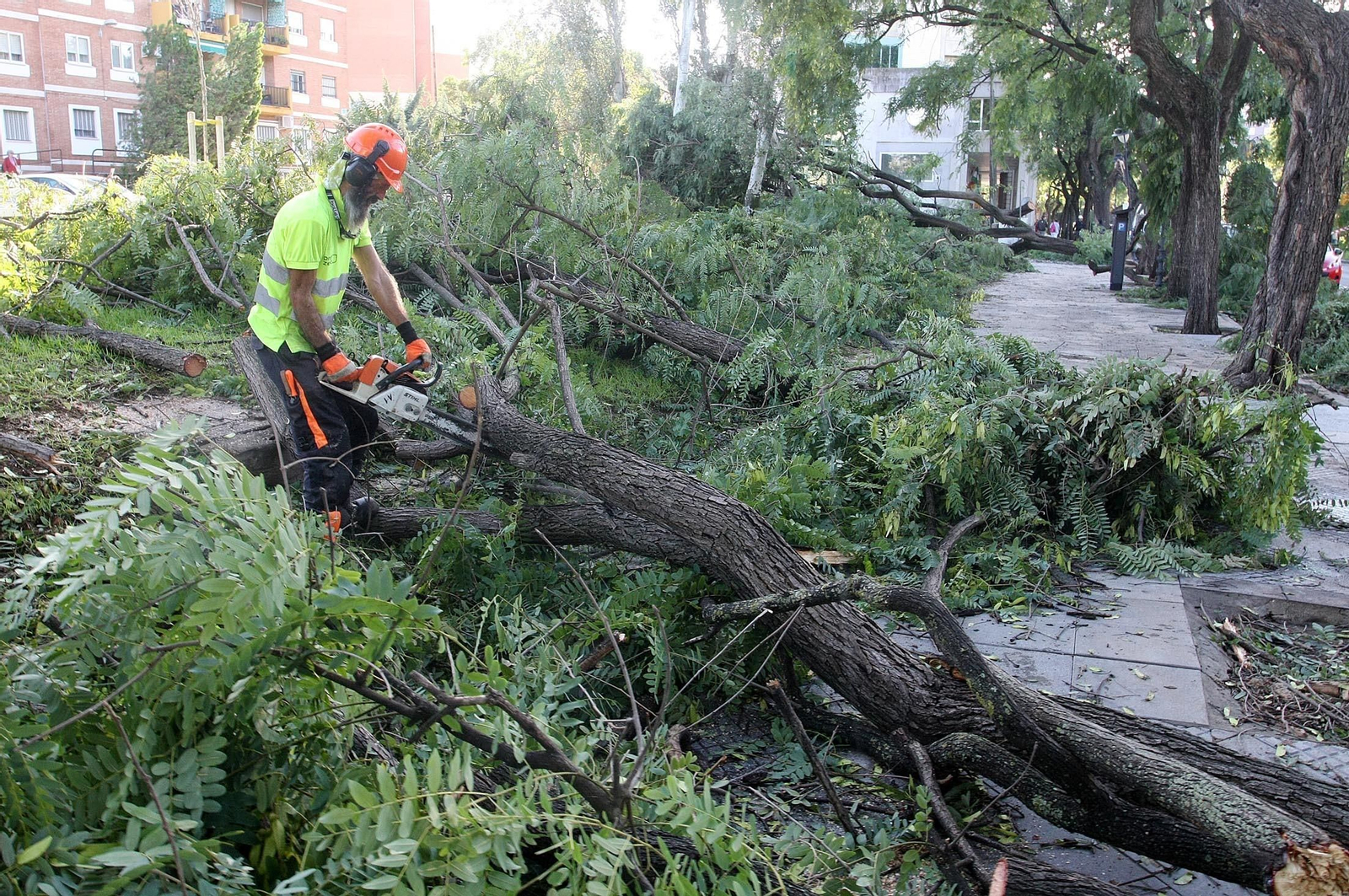 Imágenes de los destrozos en Huelva provocados por el temporal de viento y lluvia