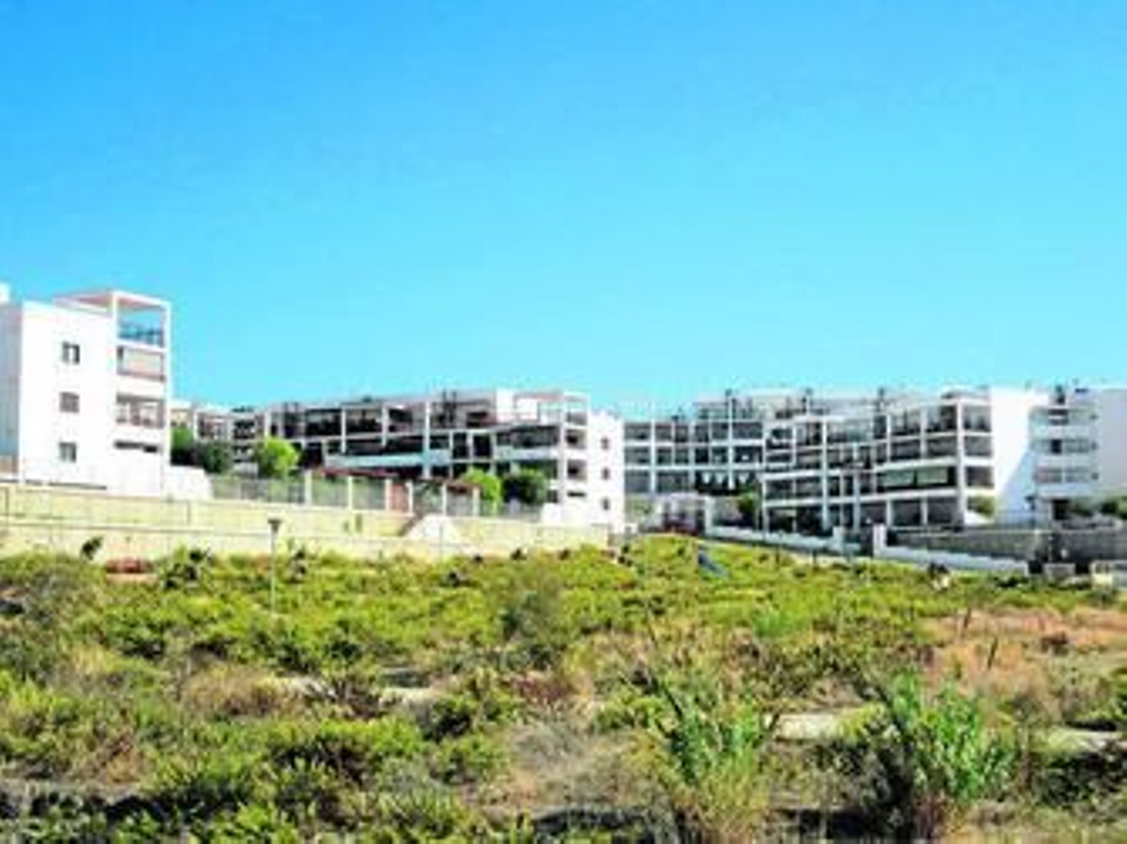 La parcela en la que se pretende construir el instituto. La parcela en la que se pretende construir el instituto.