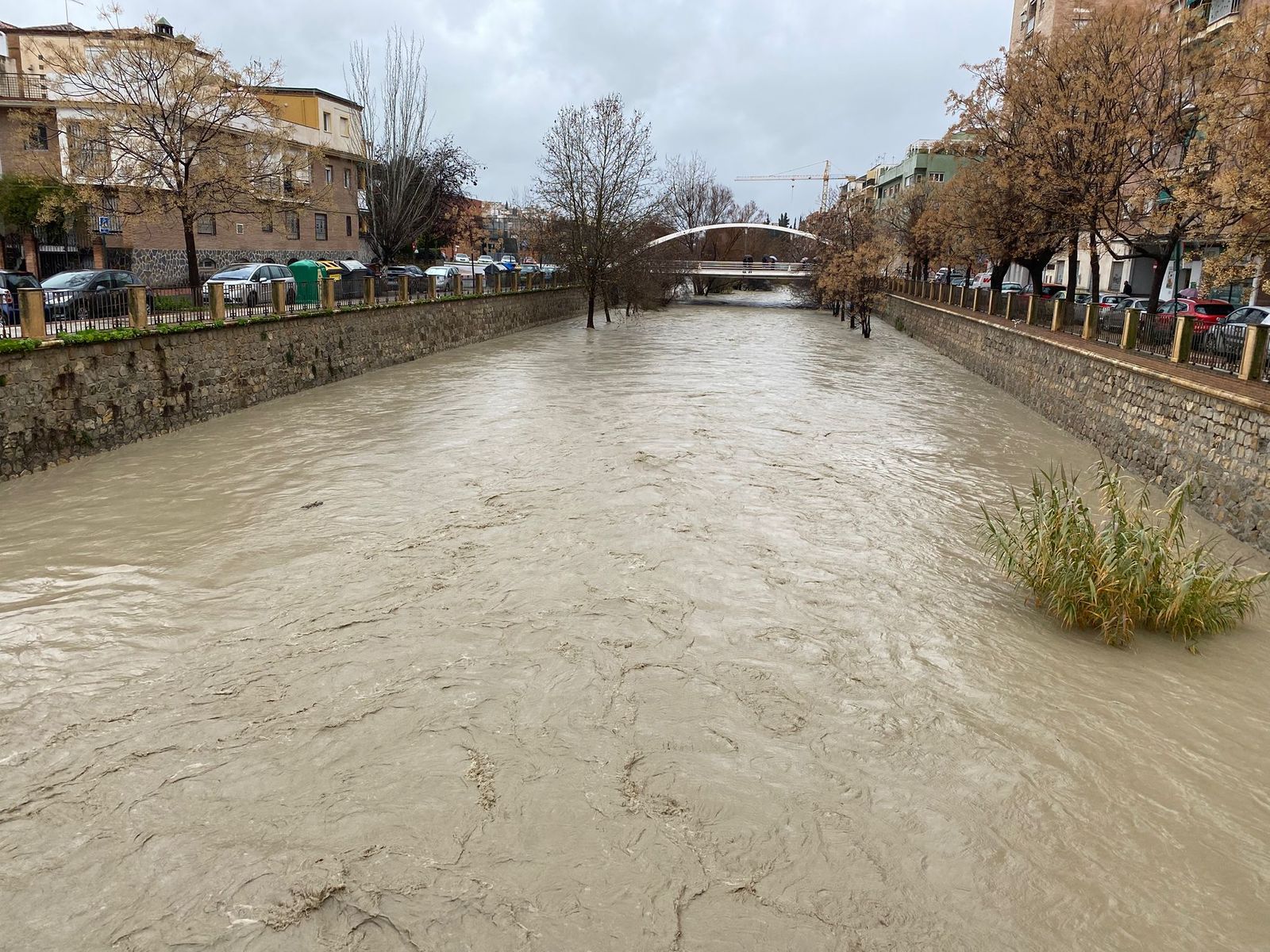 WhatsApp Image 2026-02-04 at 12.46.01