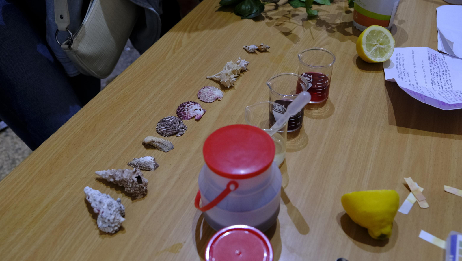 Imágenes de la Feria de la Innovación y la Ciencia en la Universidad de Almería-UAL