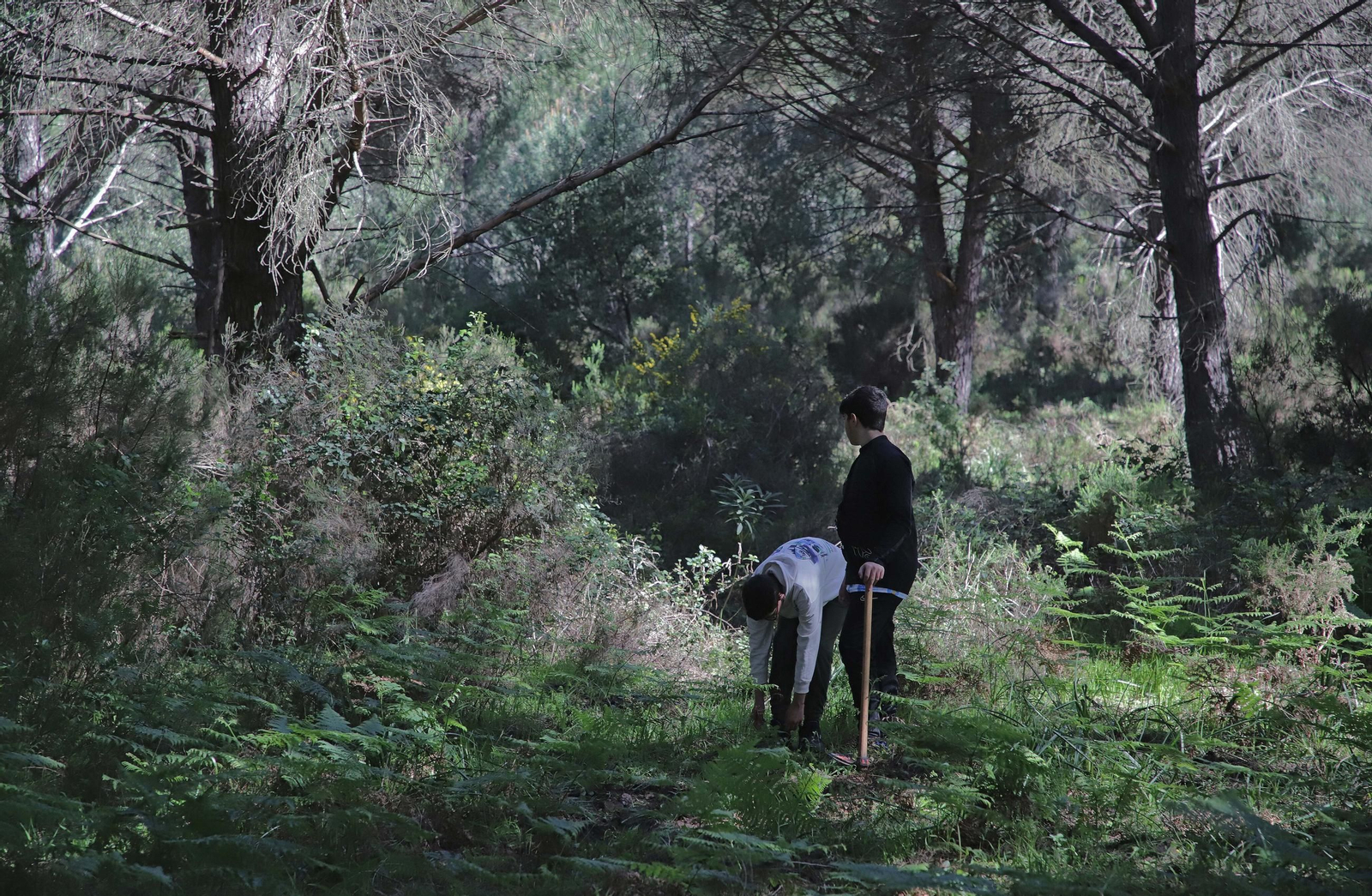 Acerinox, junto a Europa Sur, han impulsado recientemente acciones como Reverdece.