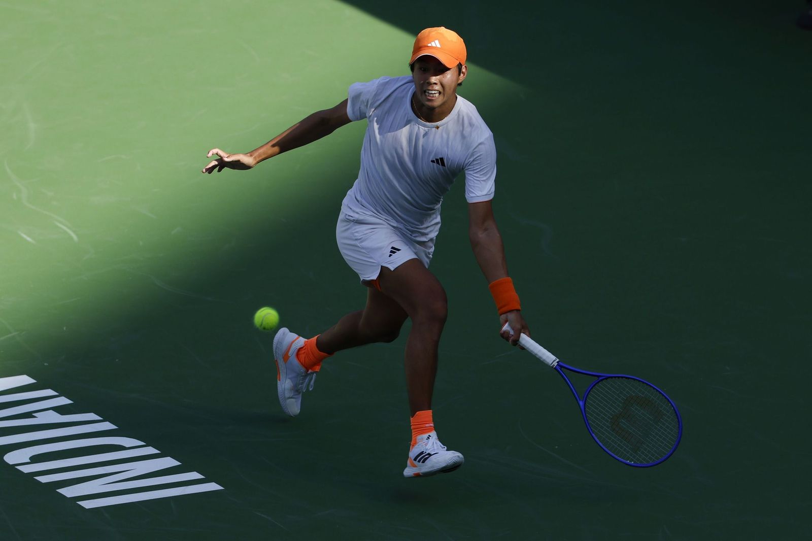 Alejandro Davidovich-Learner Tien, en fotos