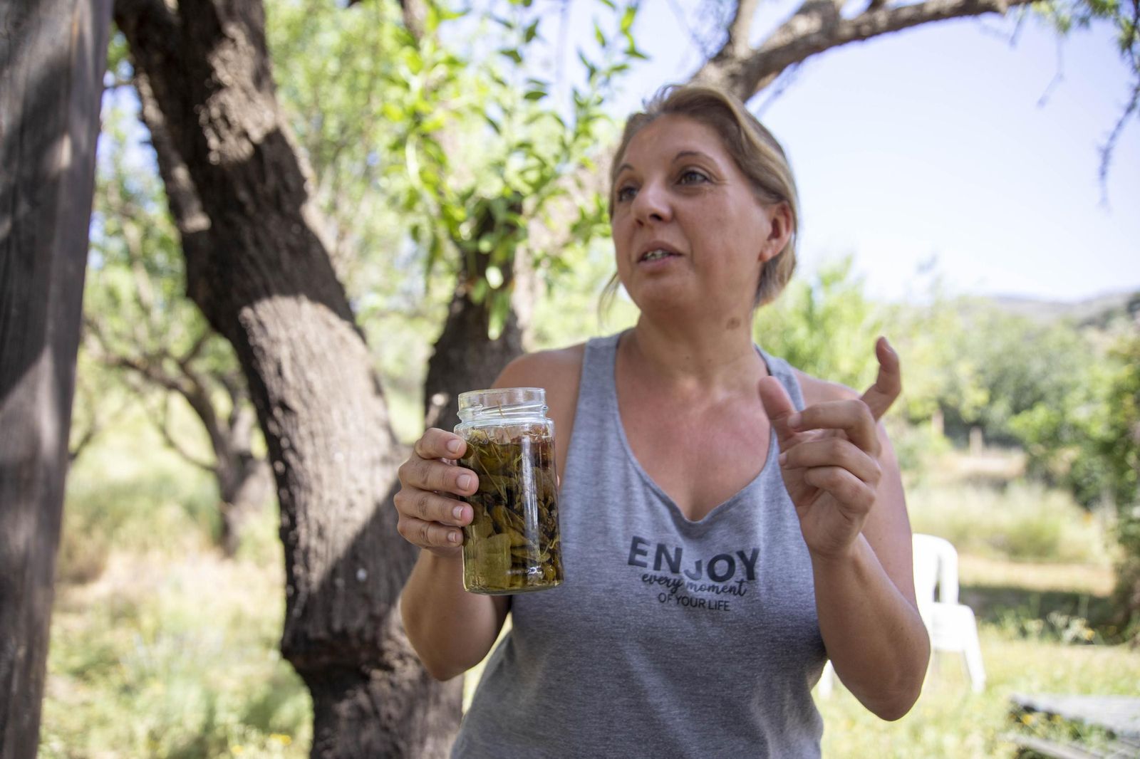 El jardin de lavandas en Benecid