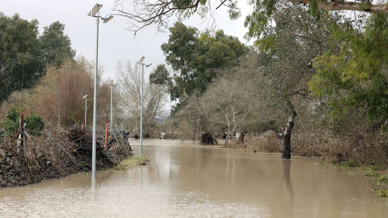 Ruta por la zona rural inundada de Jerez