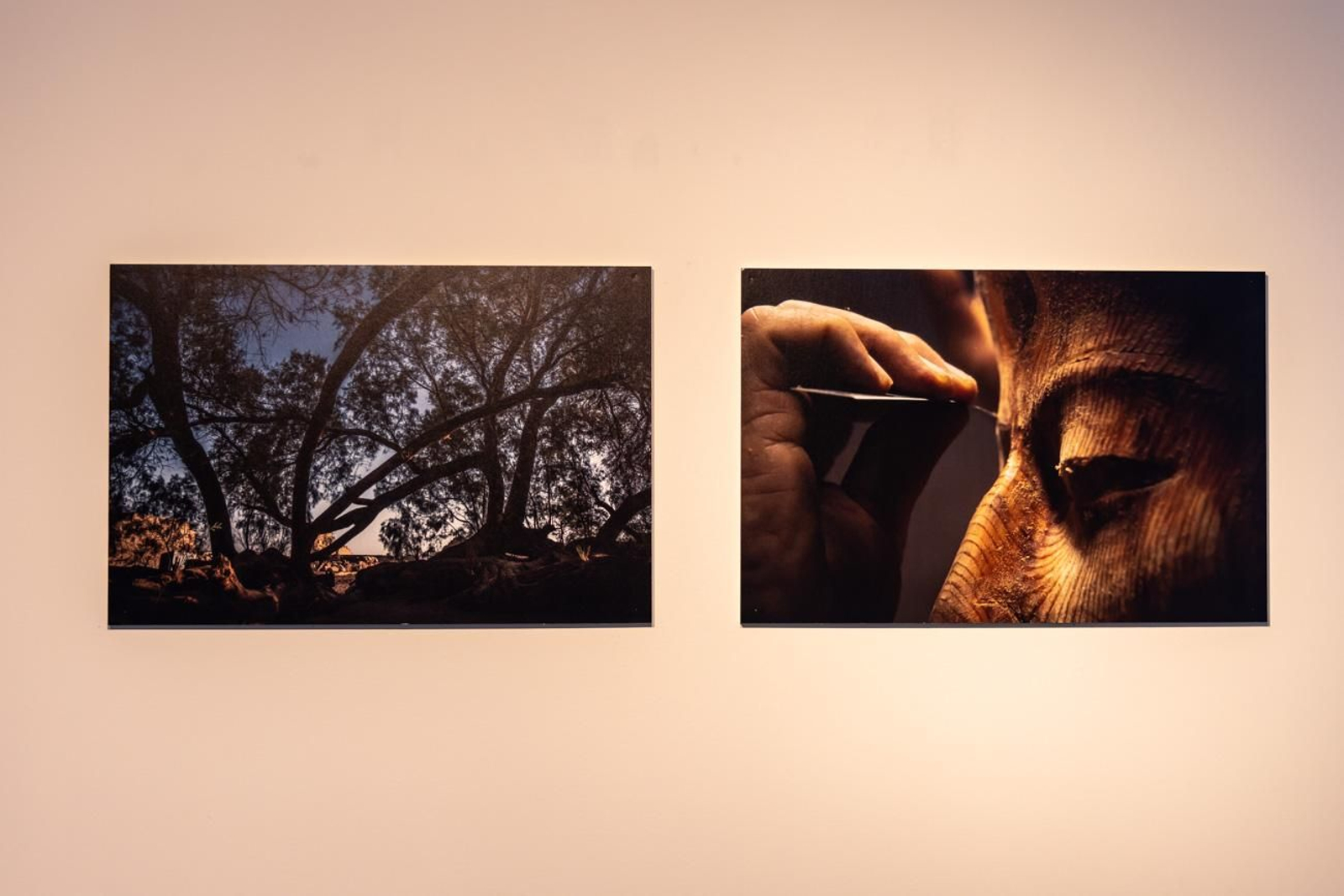 Egipto en Jaén: los bosques sagrados del país del Nilo cobran vida en imágenes