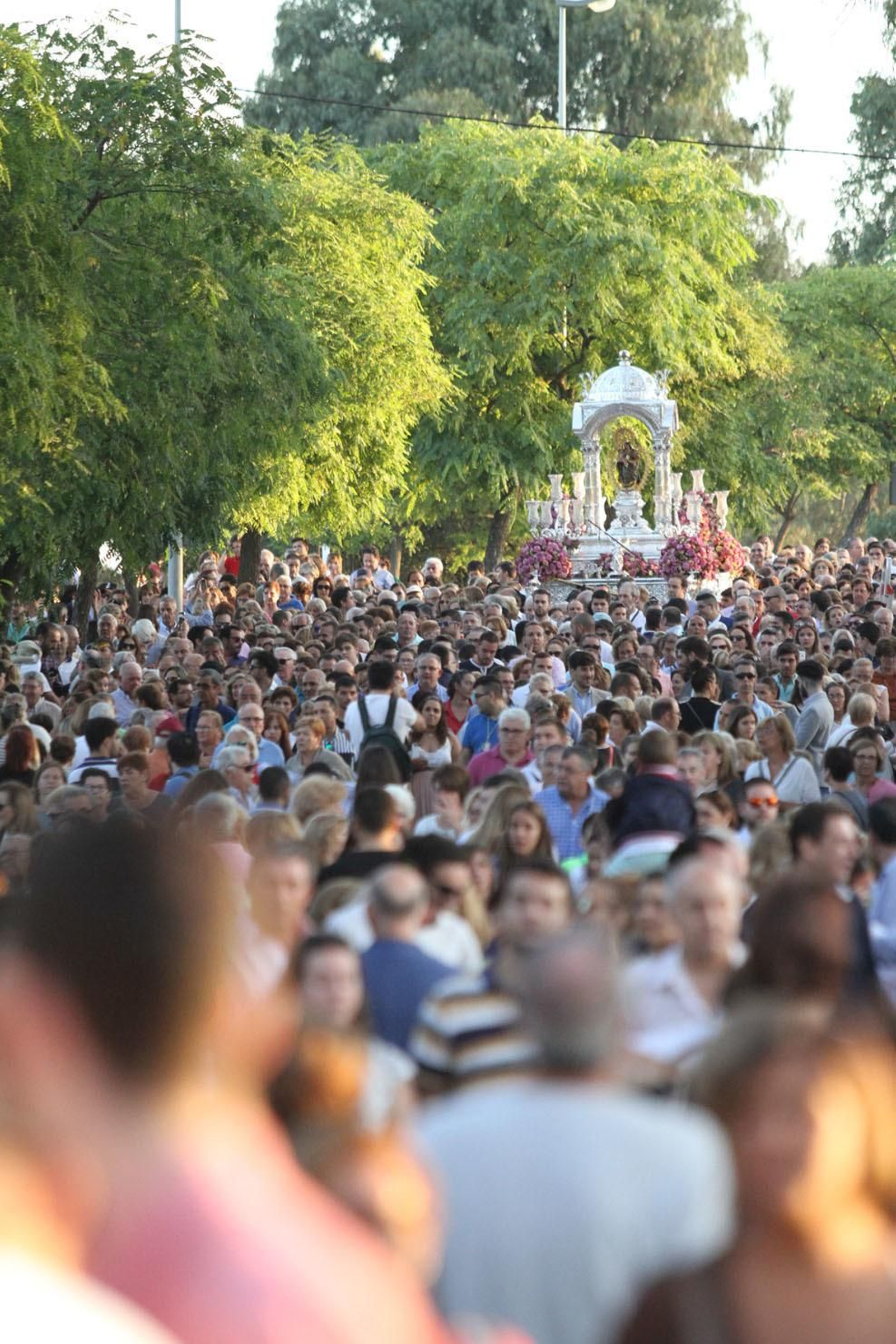 Imágenes de la bajada de La Cinta a la Catedral de La Merced
