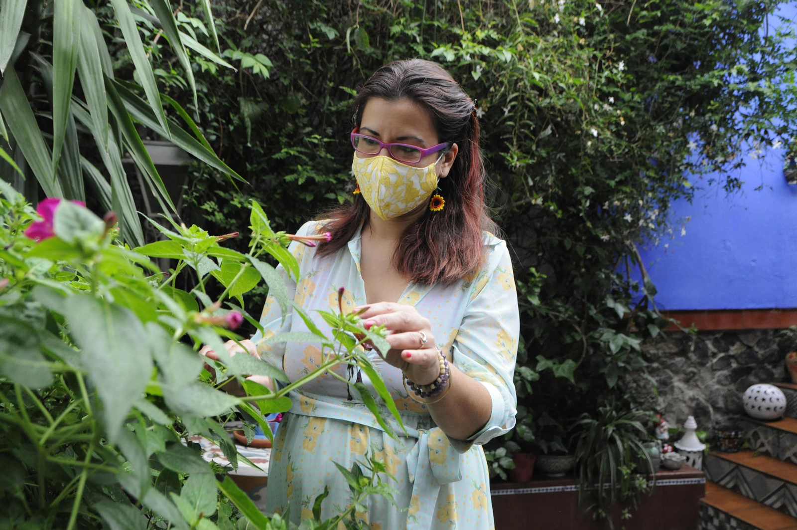 Los Patios de Córdoba se acicalan para su apertura en otoño, en fotografías