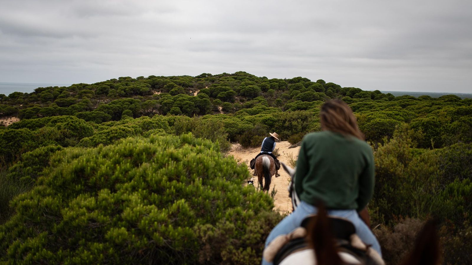 Visitantes descubriendo Doñana a caballo