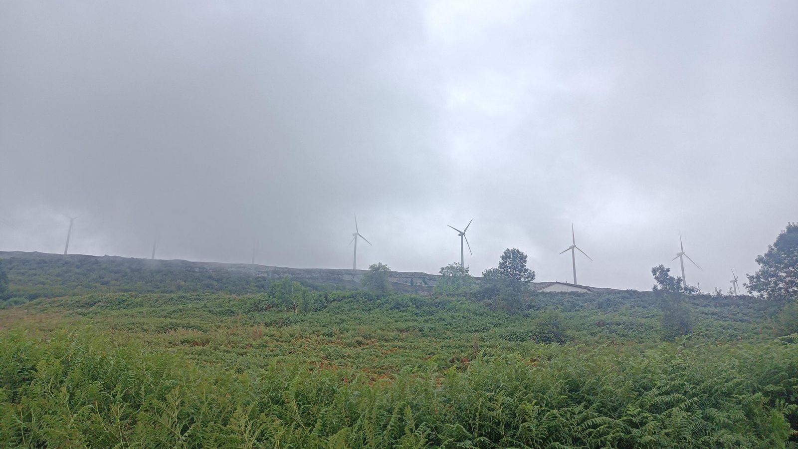 La zona es muy ventosa. Siempre veremos arriba aerogeneradores.