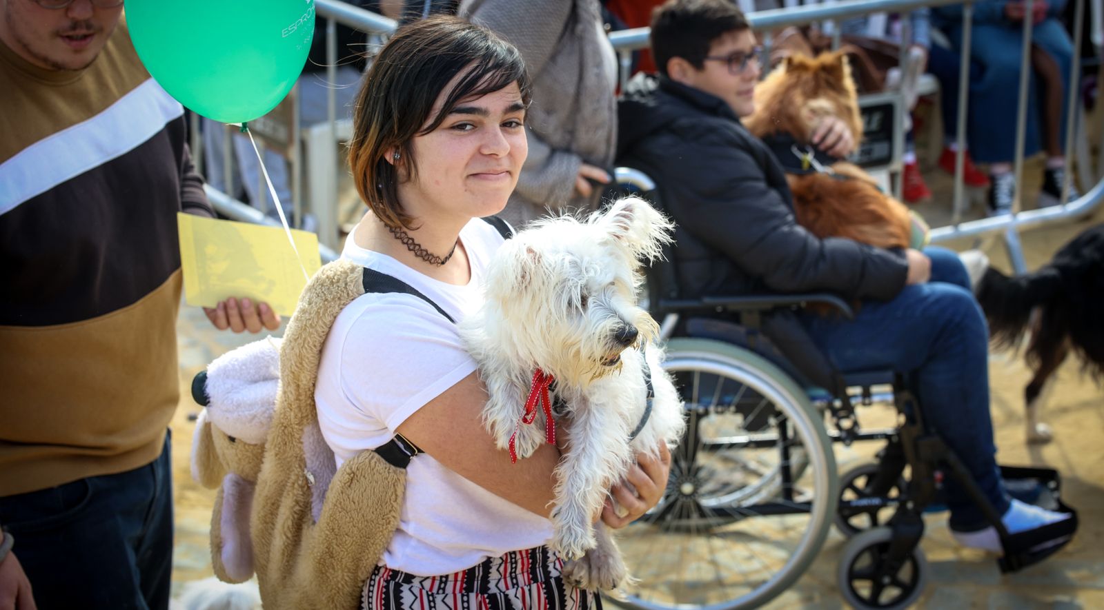 Fiesta de san Antón 2024 en Jerez