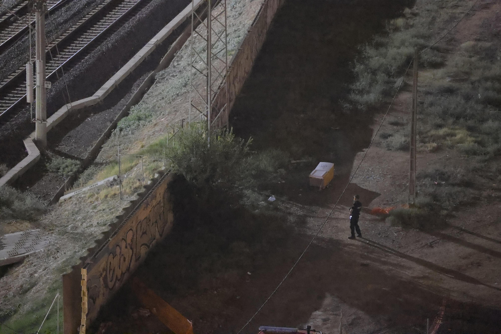 La Policía y la UME rastrean el entorno de la estación de Sevilla en busca de Álvaro Prieto