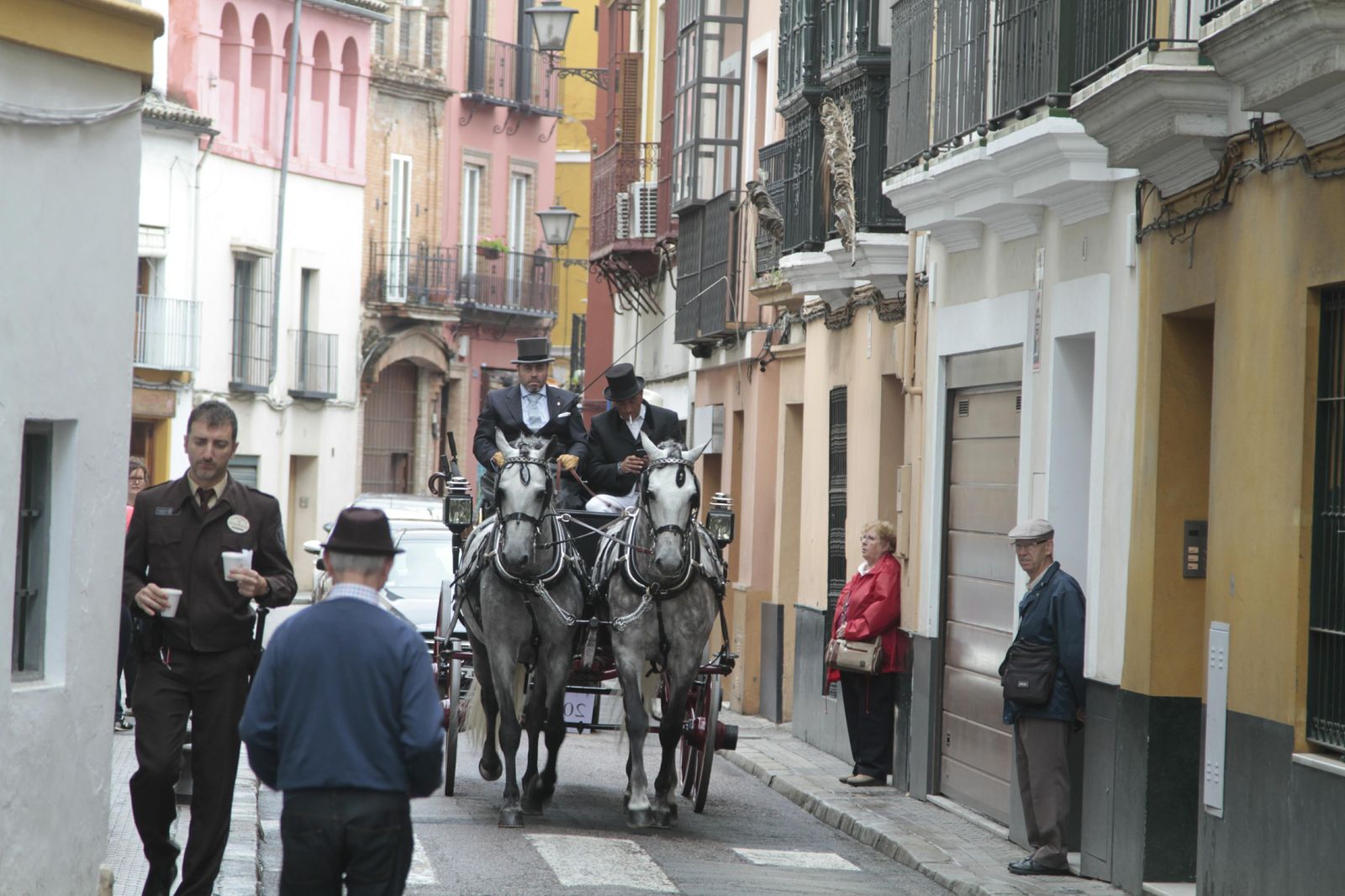 Los mejor del Concurso Internacional de enganches de Sevilla