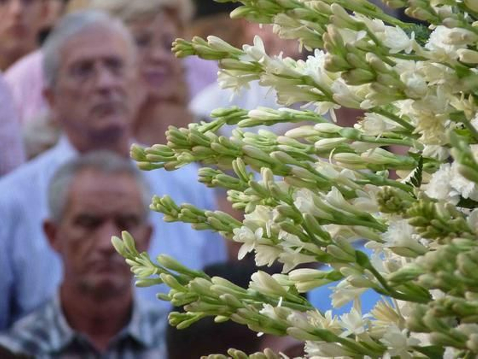 La procesión de la Virgen de los Reyes vista por Ruesga Bono.

Foto: Ruesga Bono