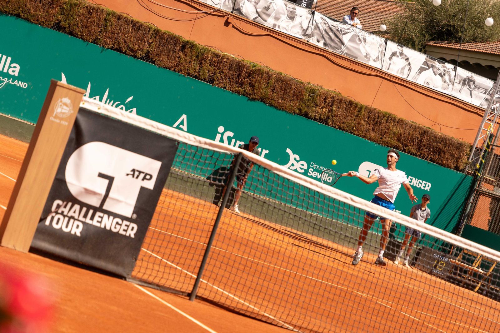 Buse - Taberner (10).jpg