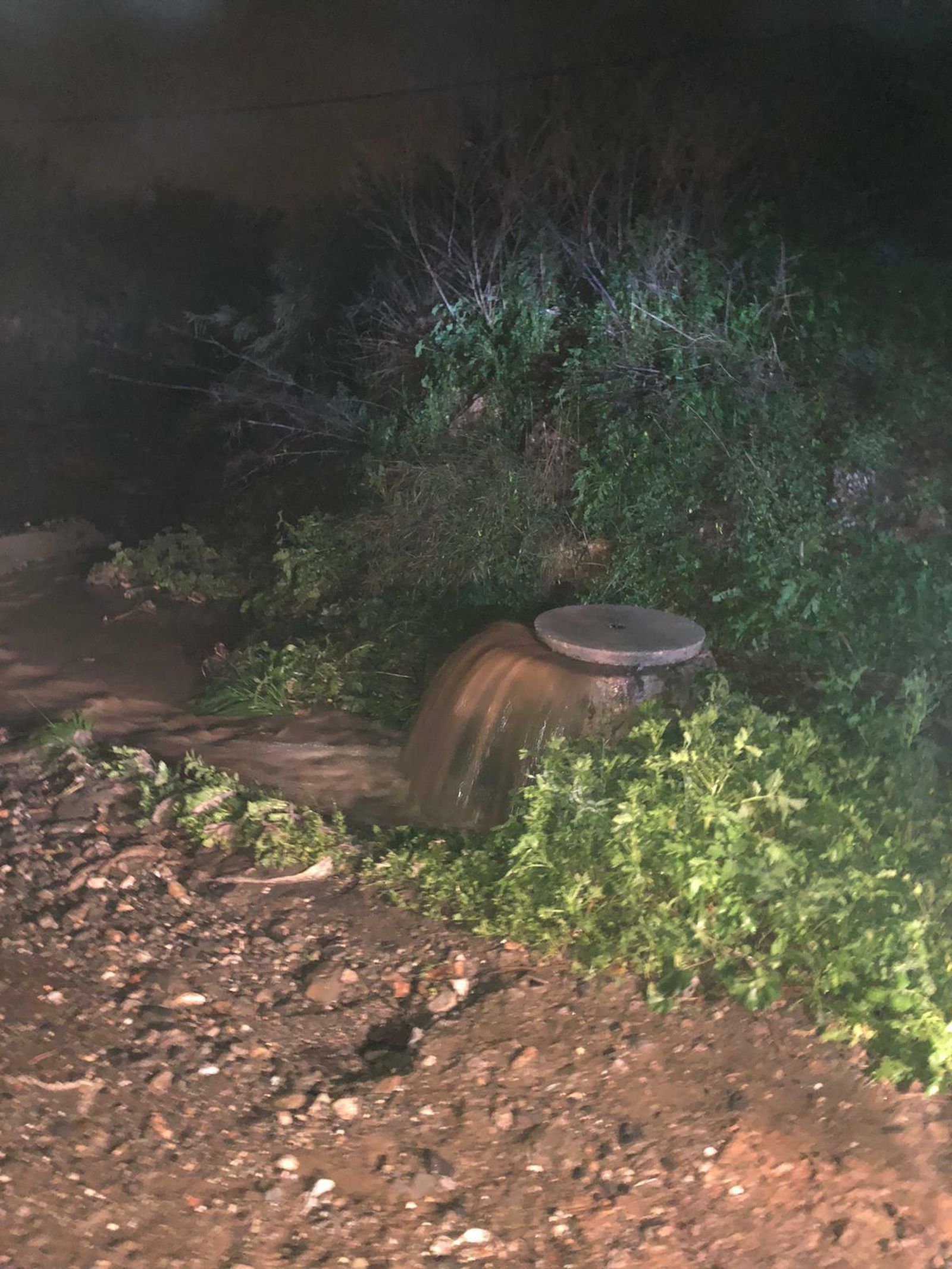 Fotos de las incidencias por la lluvia en Cártama