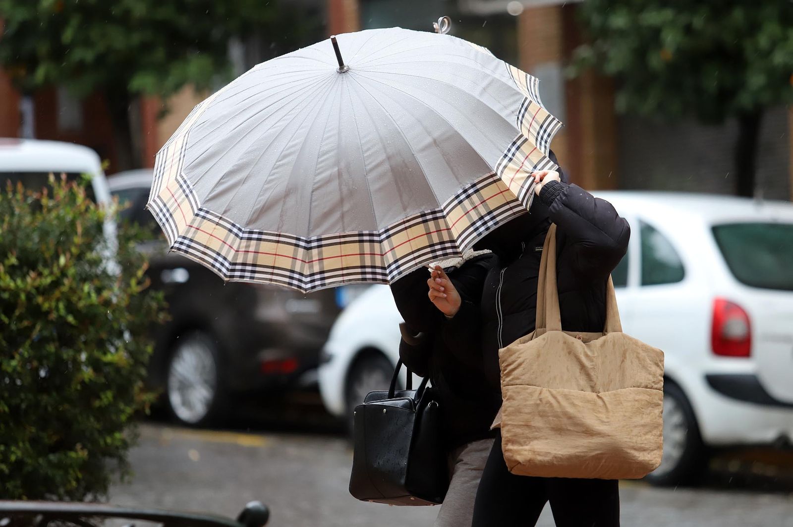 Imágenes del lunes 5 de diciembre en Huelva