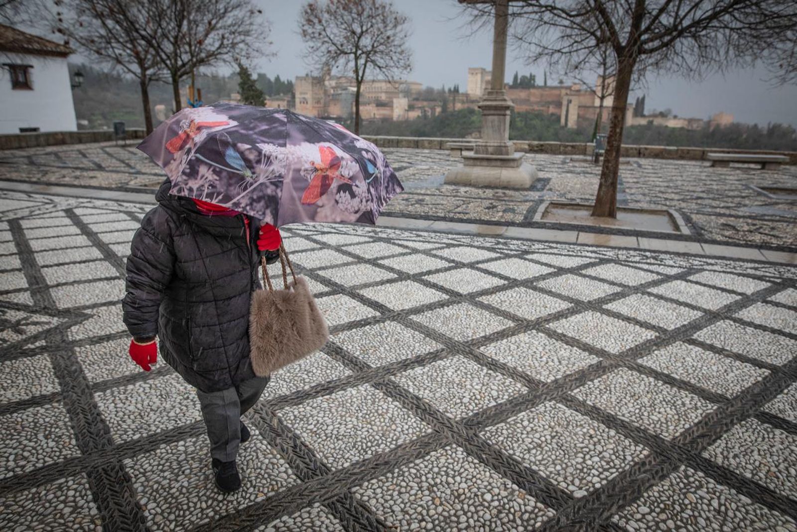 Kristin 'vacía' Granada: las imágenes del paso de la borrasca por la ciudad
