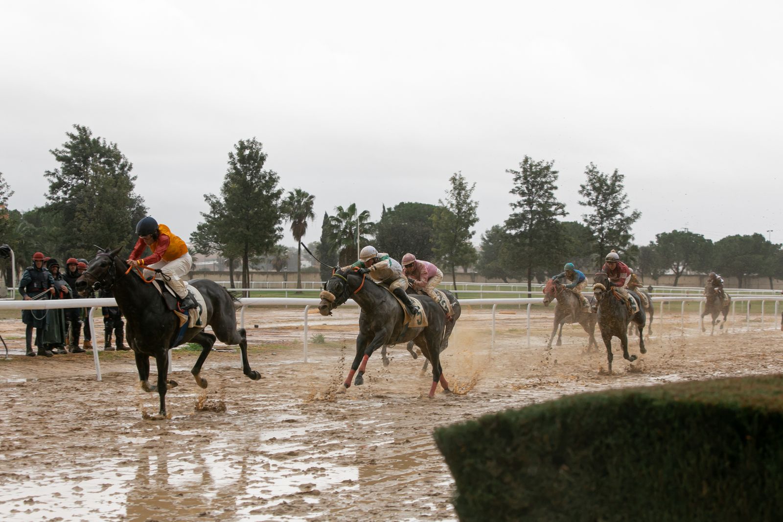 Las fotos de las carreras de caballos en Pineda