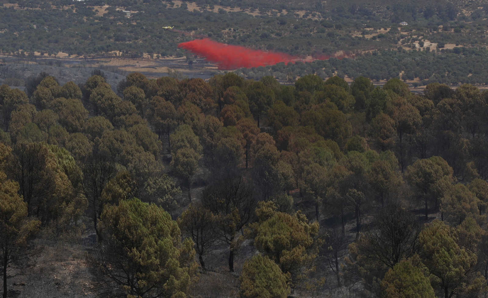 Los efectos del incendio en el Ronquillo en imágenes