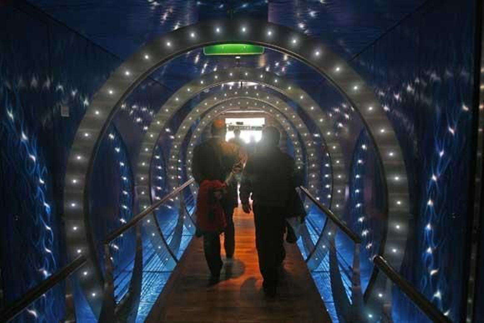 El 'Aidablu' es el primero de los 300 buques de este tipo que atracarán este año en el Puerto de Cádiz

Foto: Joaquin Pino