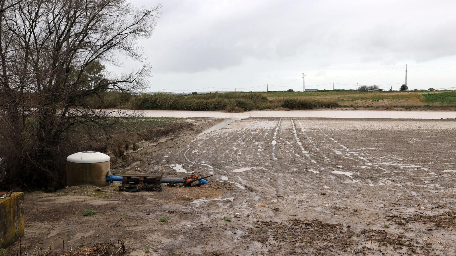 Imágenes del temporal de viento y lluvia en Jerez