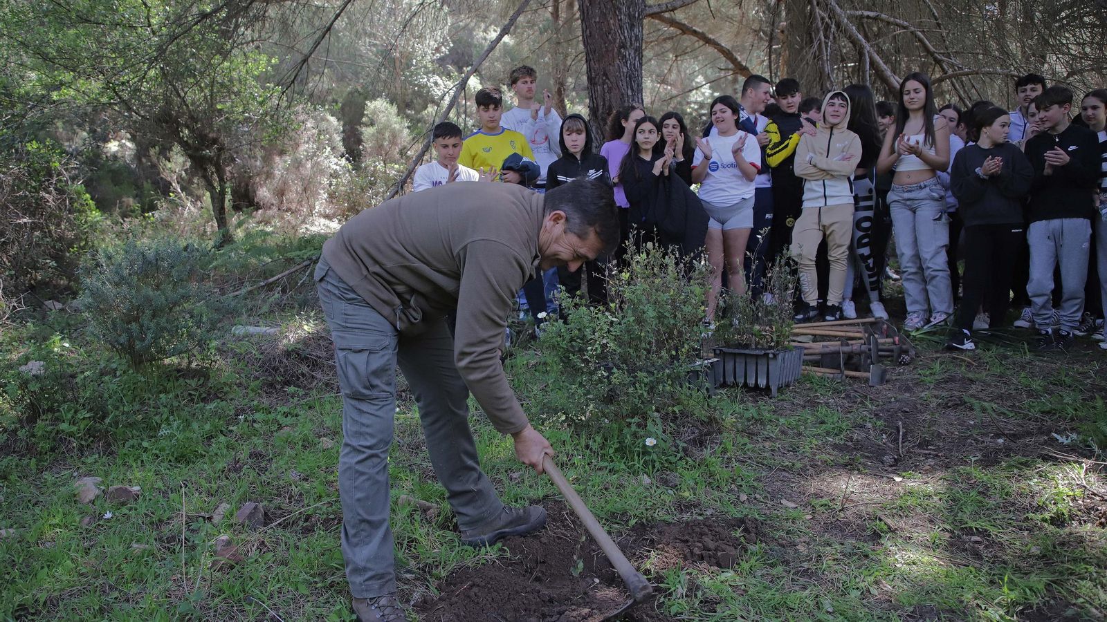 Fotografías de la plantación del programa 'Reverdece' de Acerinox Fotografías de la plantación del programa 'Reverdece' de Acerinox